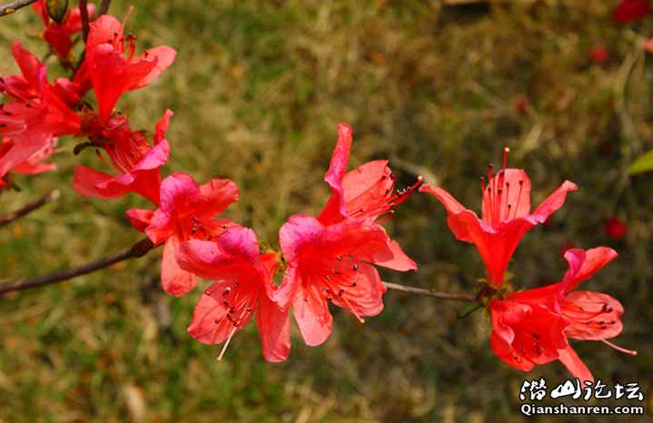 DSC07364_.jpg1.jpg