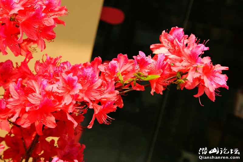 DSC07600_.jpg
