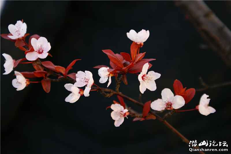 DSC04709_.jpg