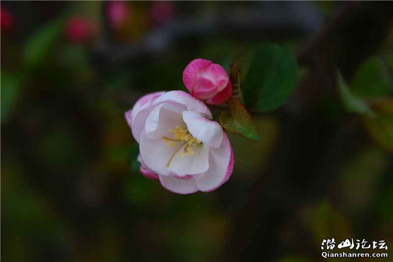 DSC04733_.jpg