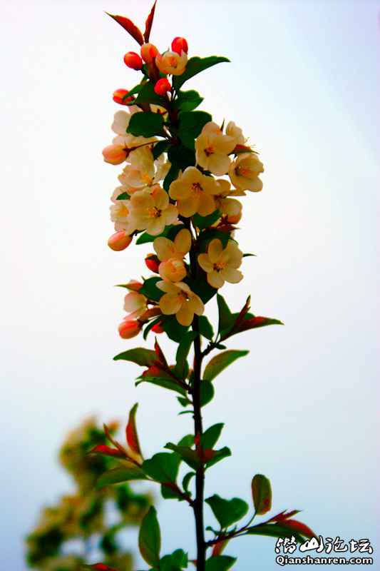 DSC06545_.jpg1.jpg