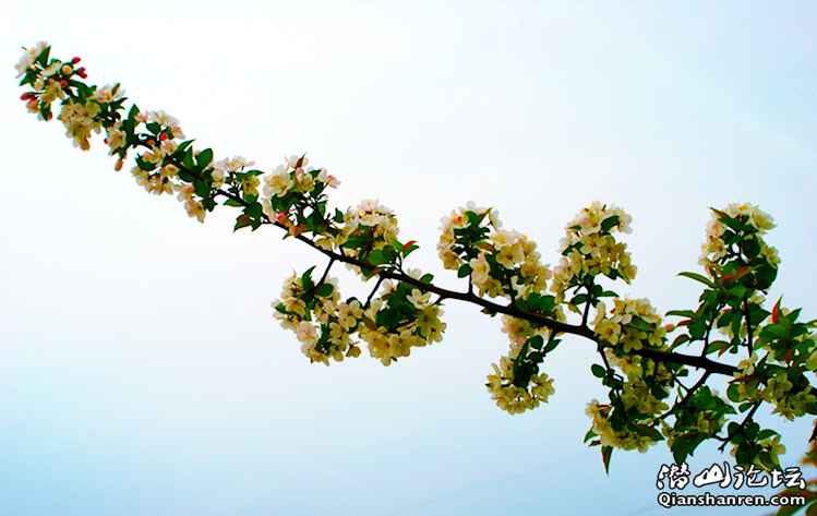 DSC06557_.jpg