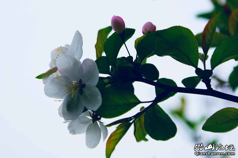 DSC06600_.jpg