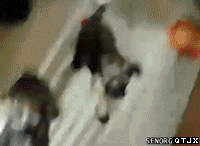 λ.gif