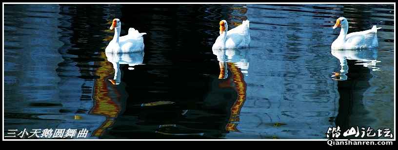 DSC_5670_conew1.jpg