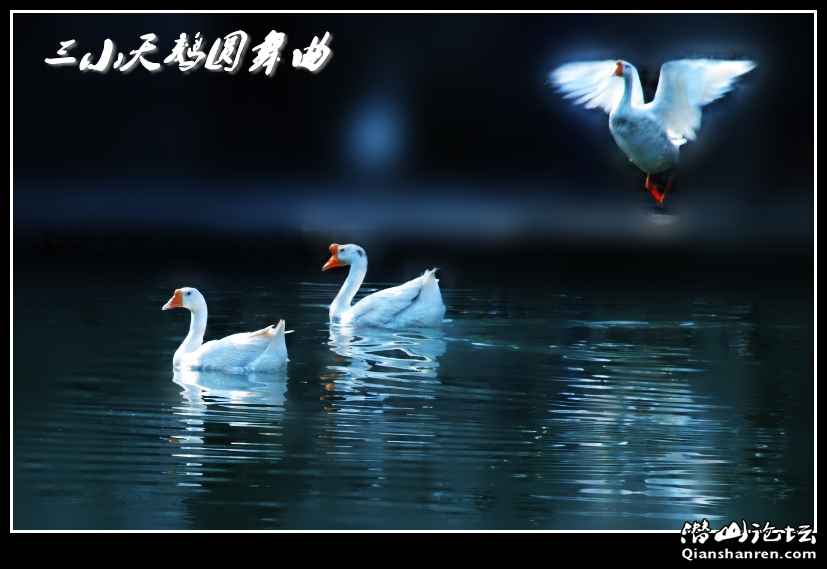 DSC_5647_conew1.jpg