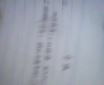 IMG0073A.jpg