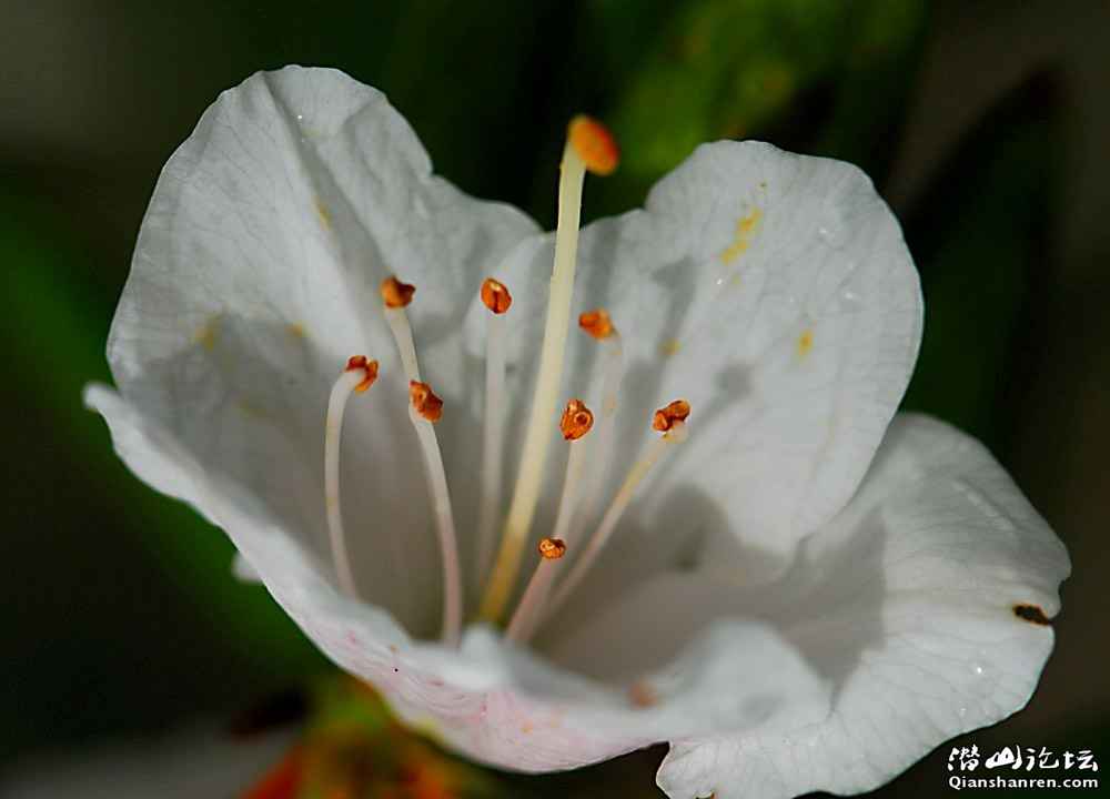 DSC_0359.JPG