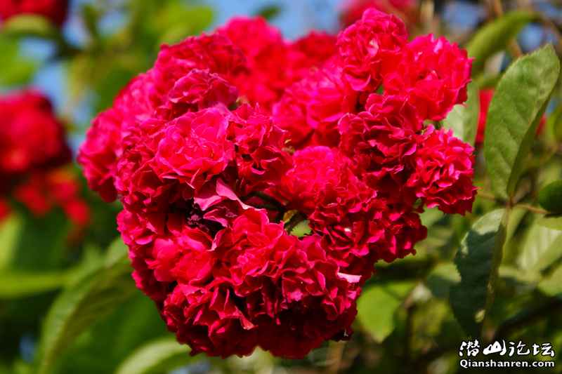 DSC05089_.jpg
