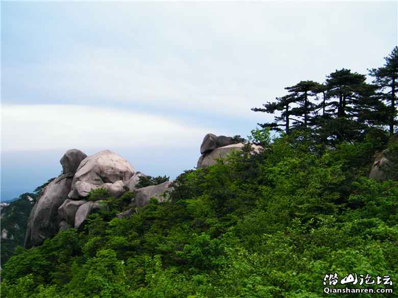 dscf9635_.jpg