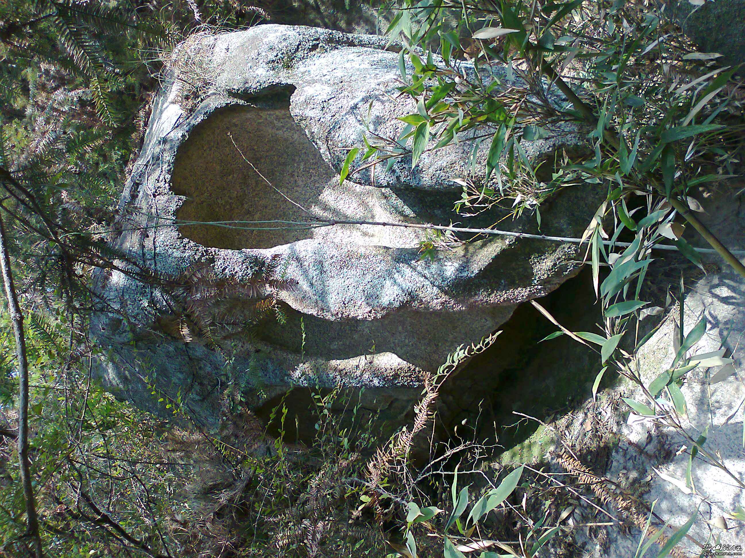 Ƭ0094.jpg