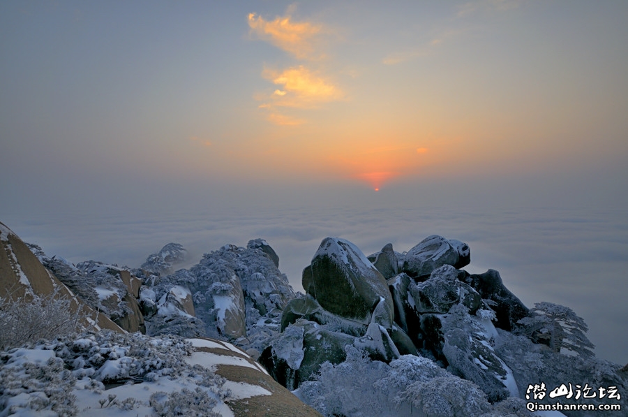 _DSC4119.jpg