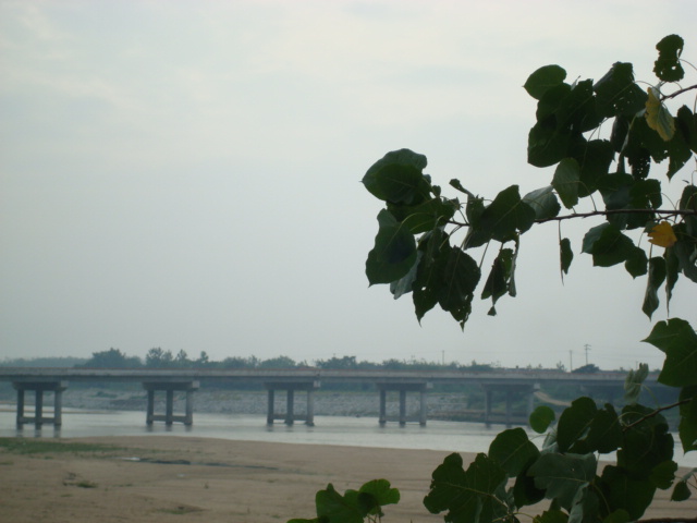 88_1253458637X1n2.jpg