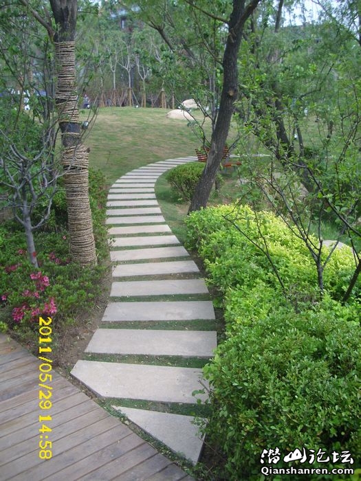 DSCI0026.jpg