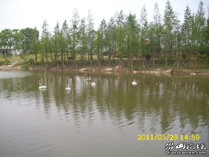 DSCI0027.jpg