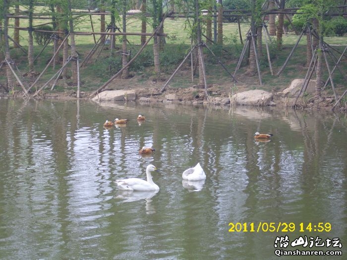 DSCI0029.jpg
