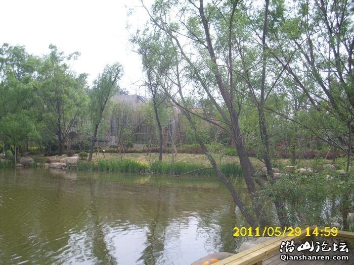 DSCI0030.jpg