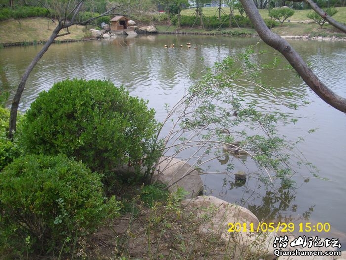 DSCI0033.jpg