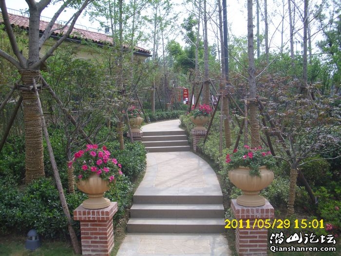 DSCI0036.jpg