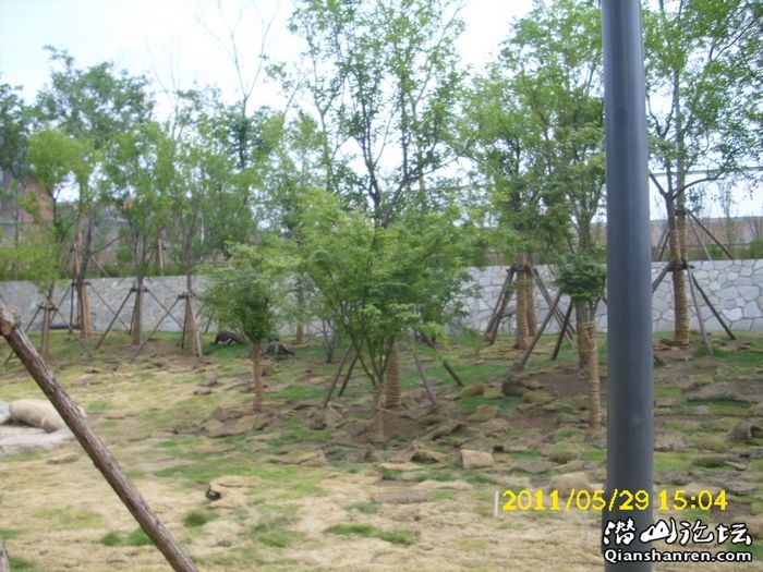 DSCI0040.jpg