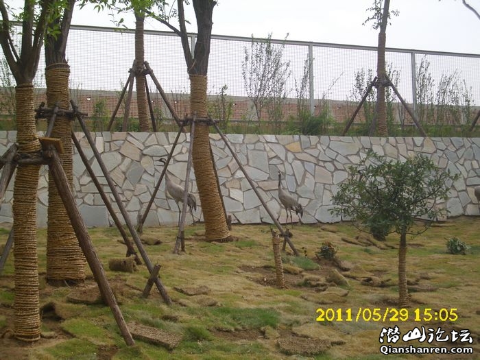 DSCI0047.jpg