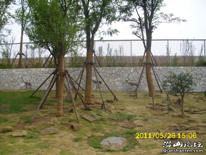 DSCI0048.jpg