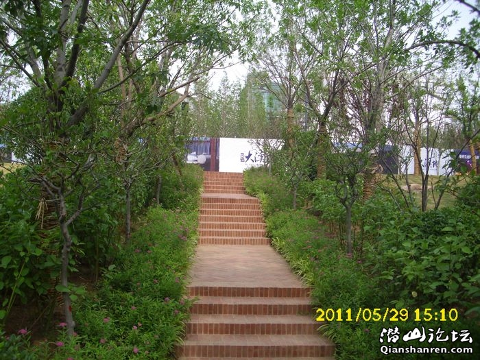 DSCI0055.jpg