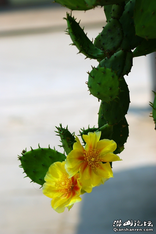DSC05779_.jpg