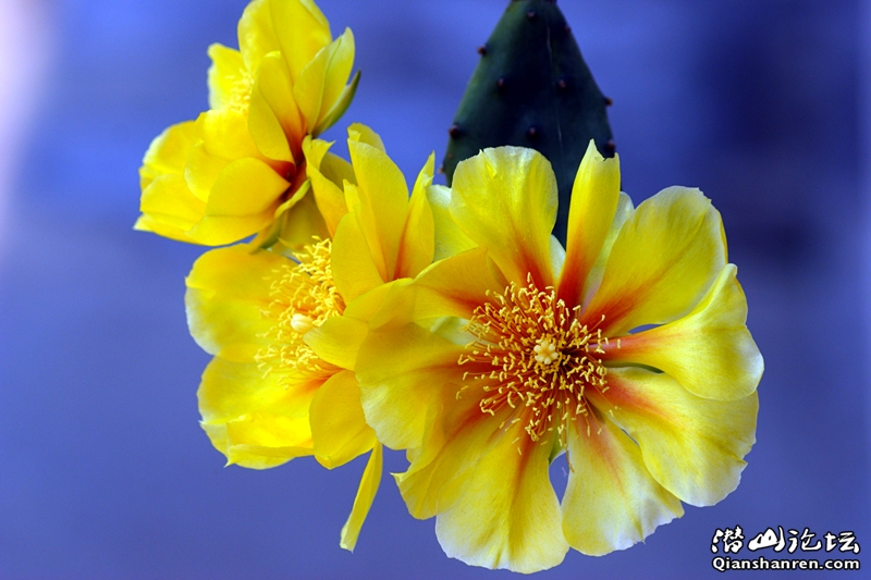DSC05806_.jpg