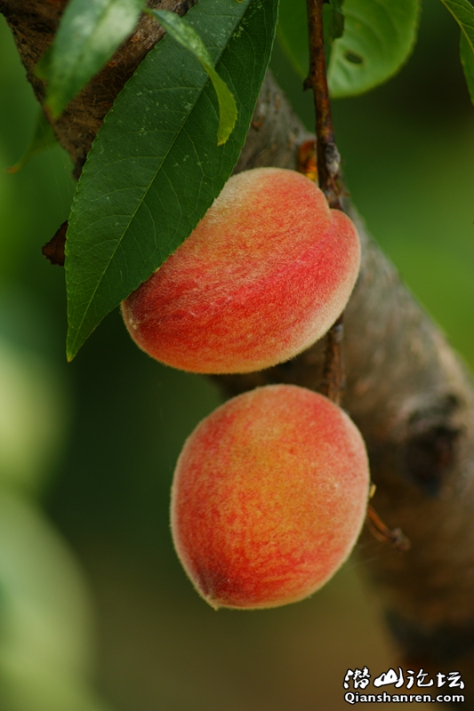 DSC05900_.jpg