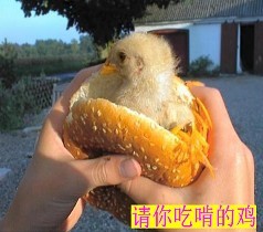 ϵ».jpg