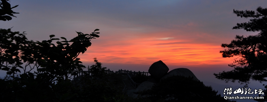 DSC_0288.jpg