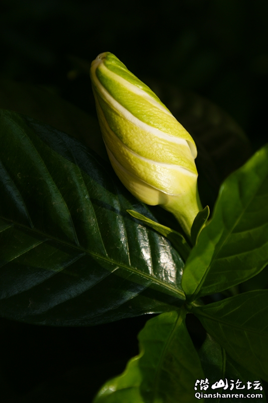 DSC06437_.jpg