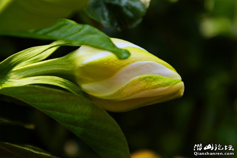 DSC06440_.jpg