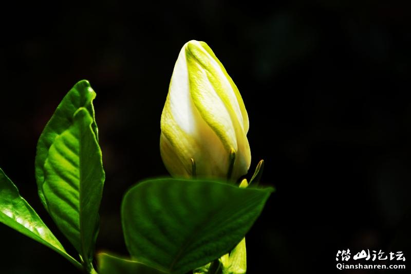 DSC06445_.jpg