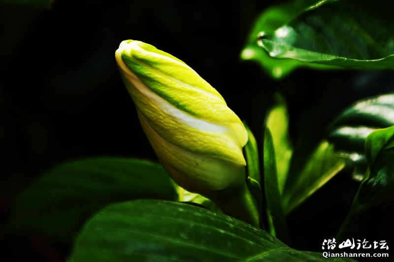 DSC06449_.jpg
