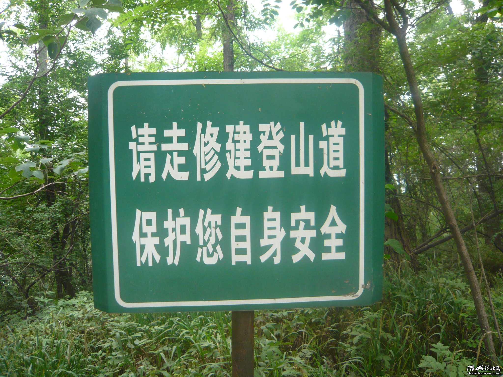 P1050543.JPG