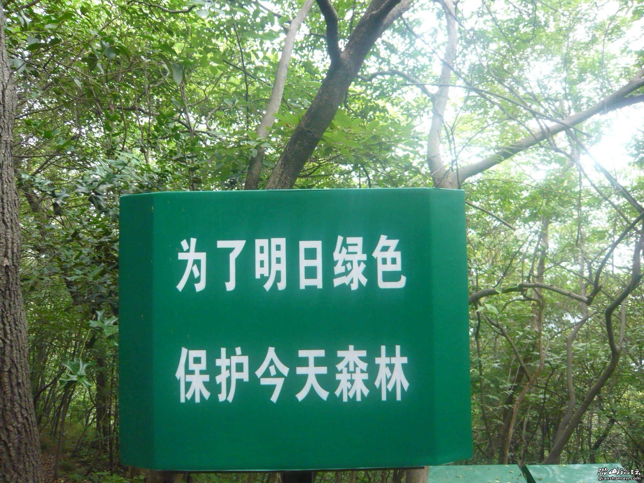 P1050544.JPG