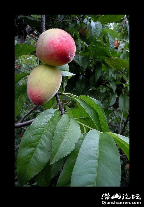 DSCN0641.jpg