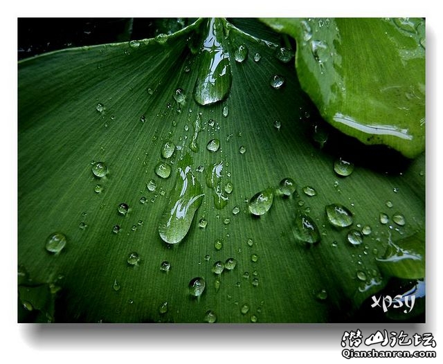 DSCN1021ڸ.jpg