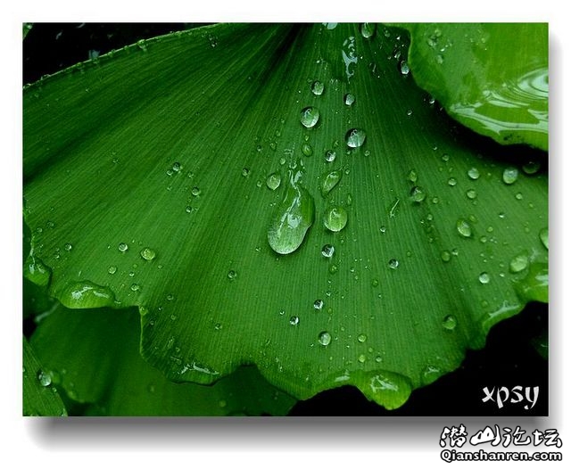 DSCN1006ڸ.jpg