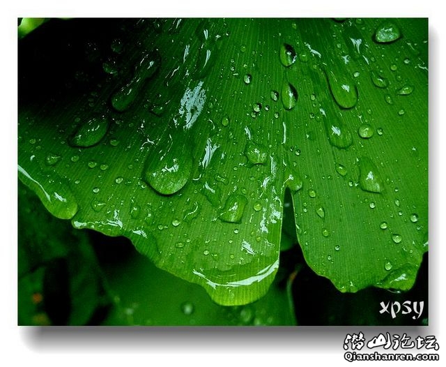 DSCN1007ڸ.jpg