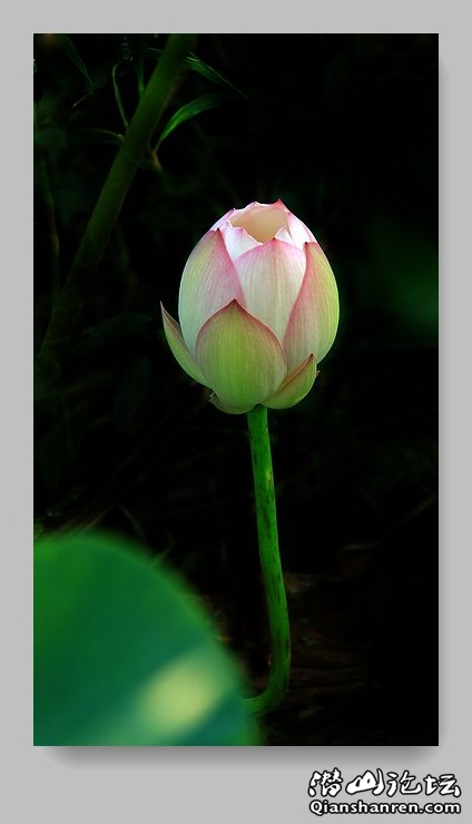 IMG_8188.jpg