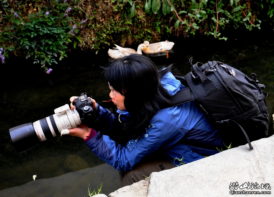 DSC_0266.jpg