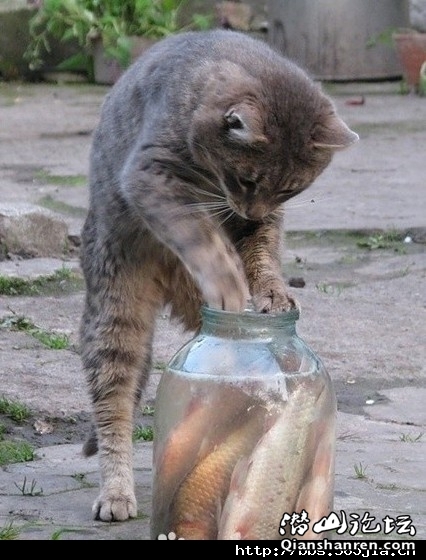 3.JPG