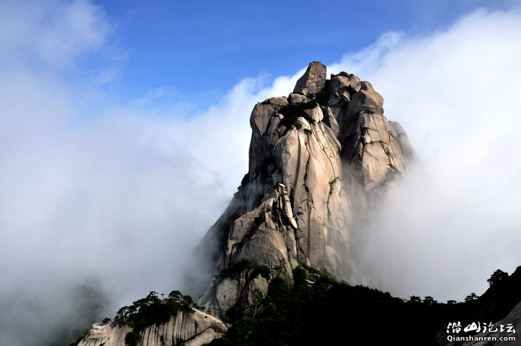 DSC_0393++.jpg