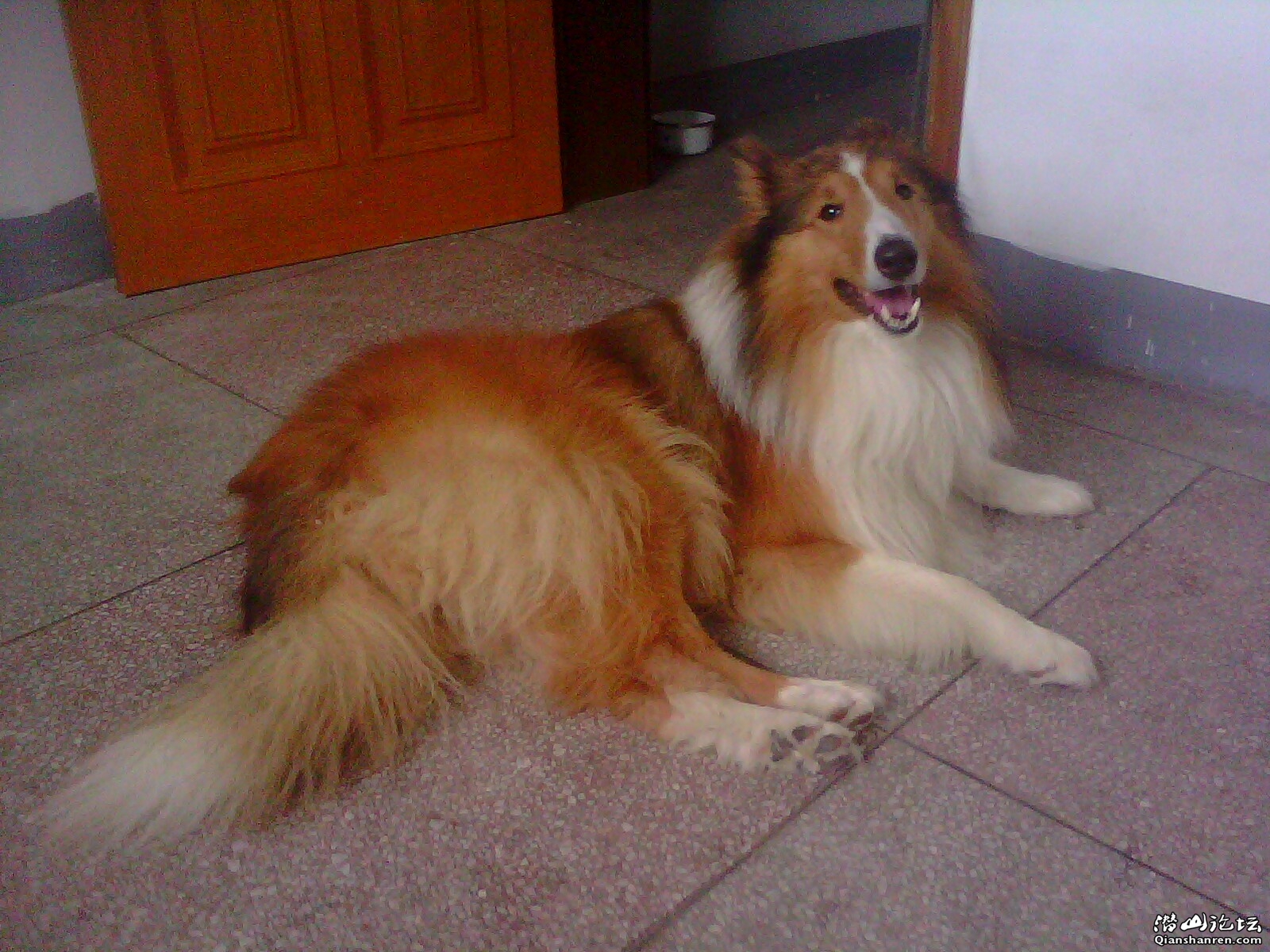 IMG0108A.jpg
