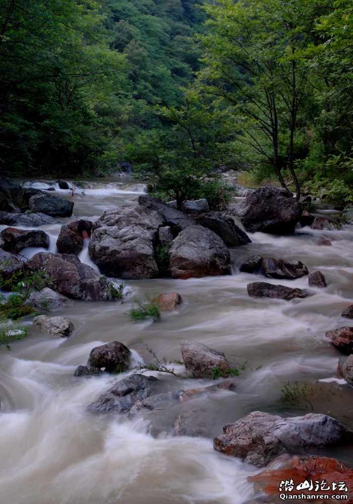 DSC_0235.jpg