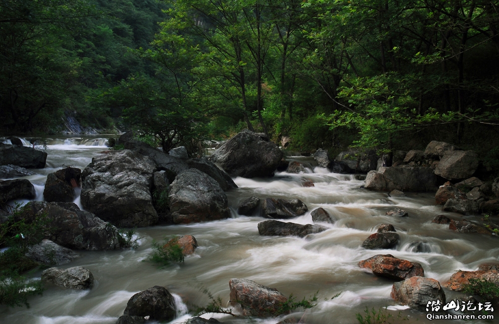 DSC_0277.jpg