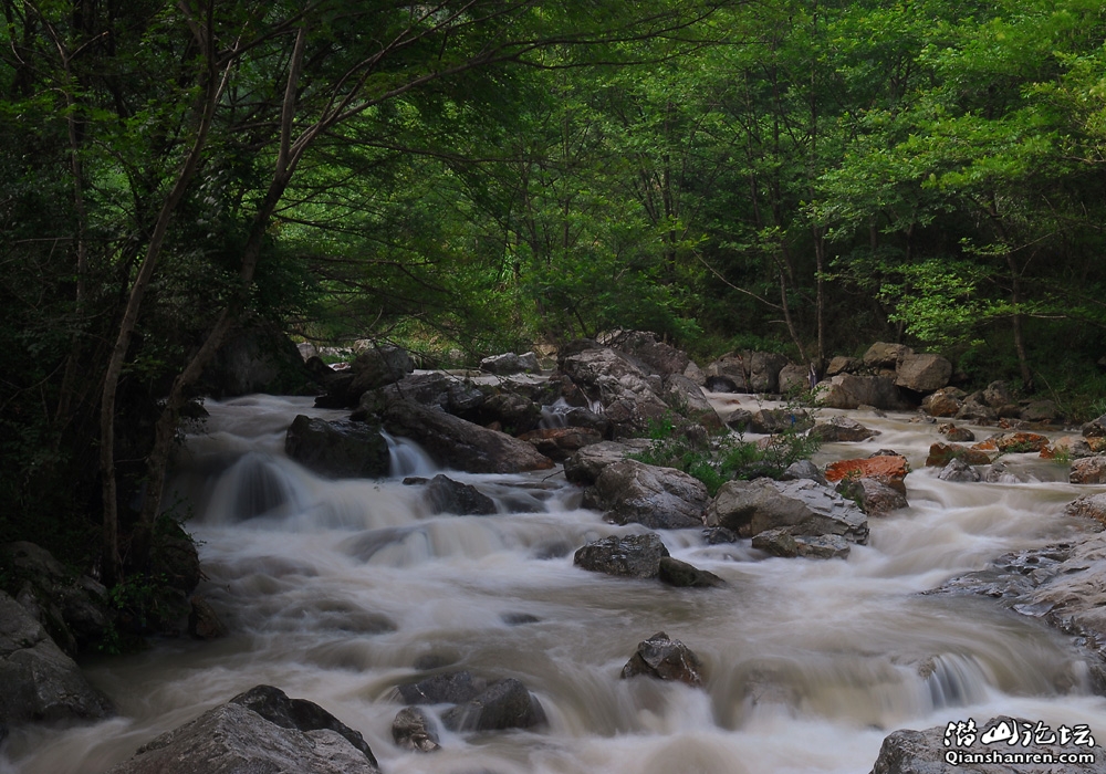 DSC_0309.jpg